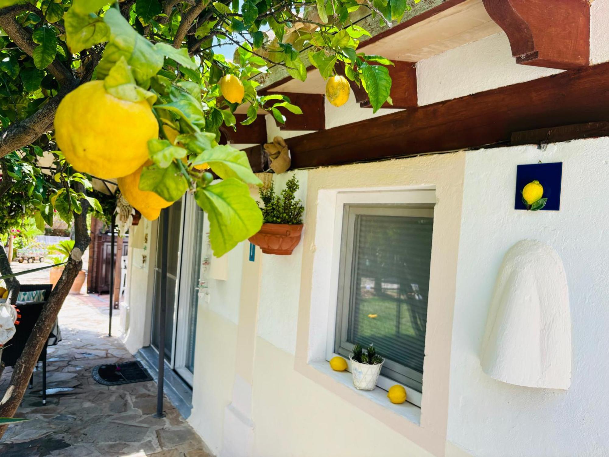 Casita Limon Ferienhaus Andratx